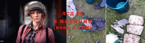 мяу мяу мука Елабуга