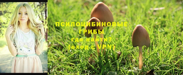 СК Дмитров