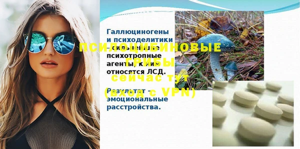 СК Дмитров