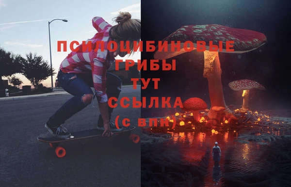 ALPHA PVP Дмитриев