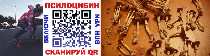 Галлюциногенные грибы MAGIC MUSHROOMS Курган