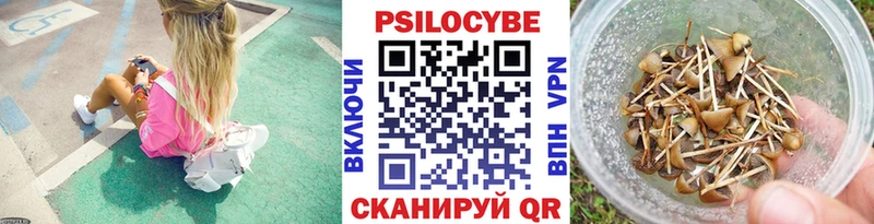 как найти закладки  Курган  Псилоцибиновые грибы Cubensis 